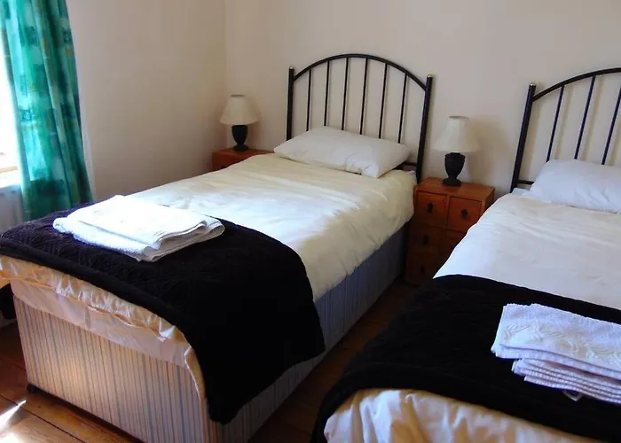 Sporting Shanagolden